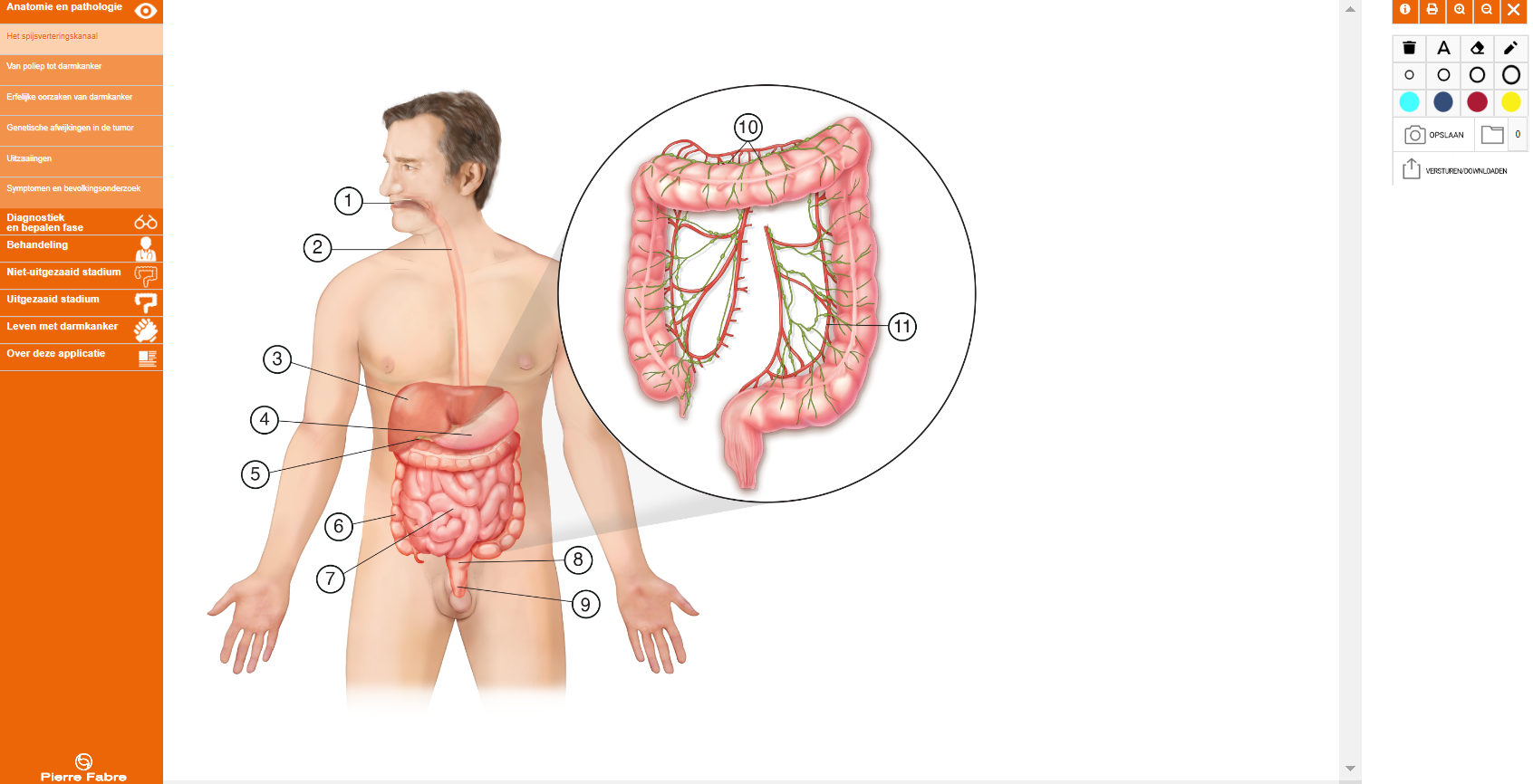 digitale zorgatlas CRC 2