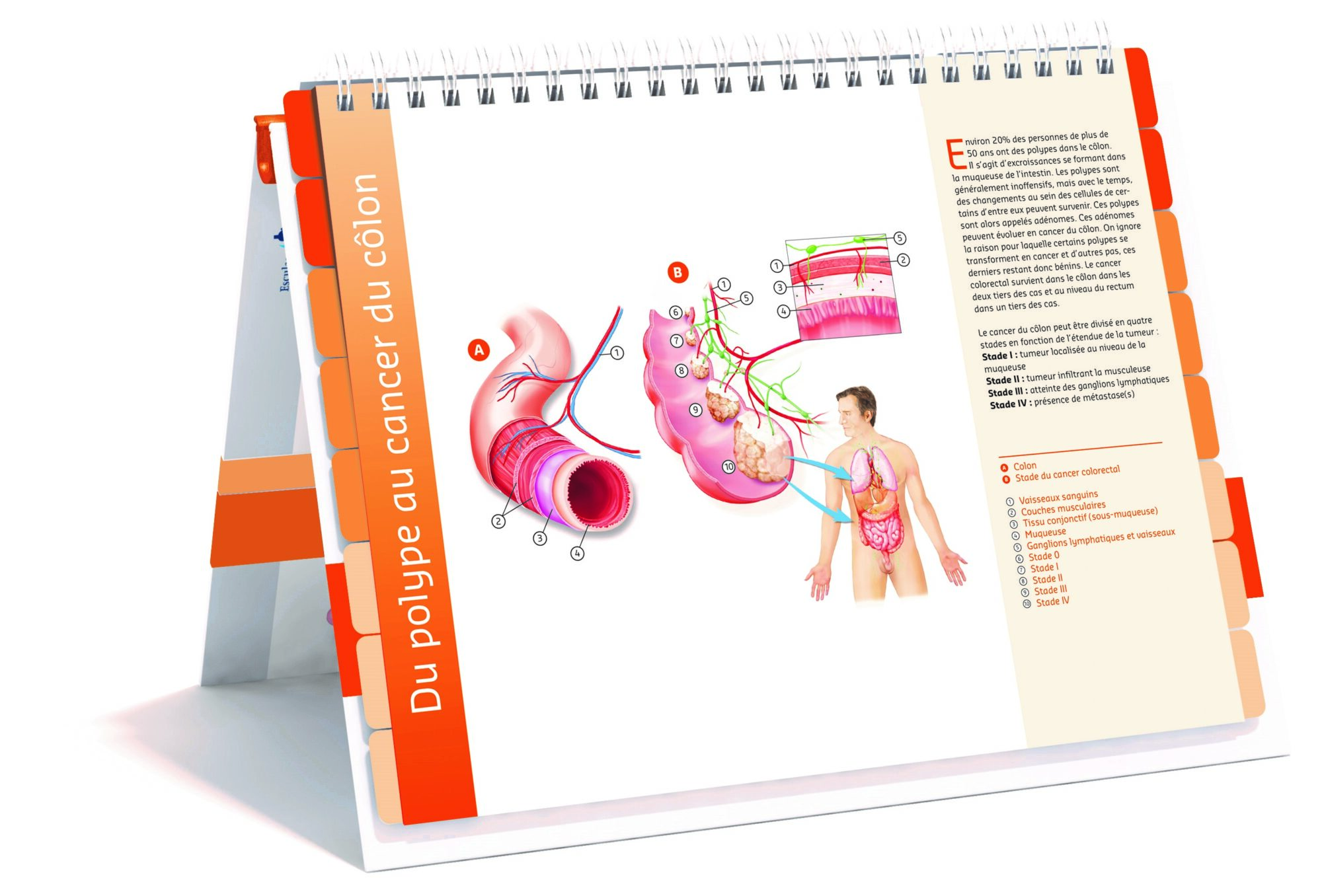 zorgatlas CRC fysiek FR