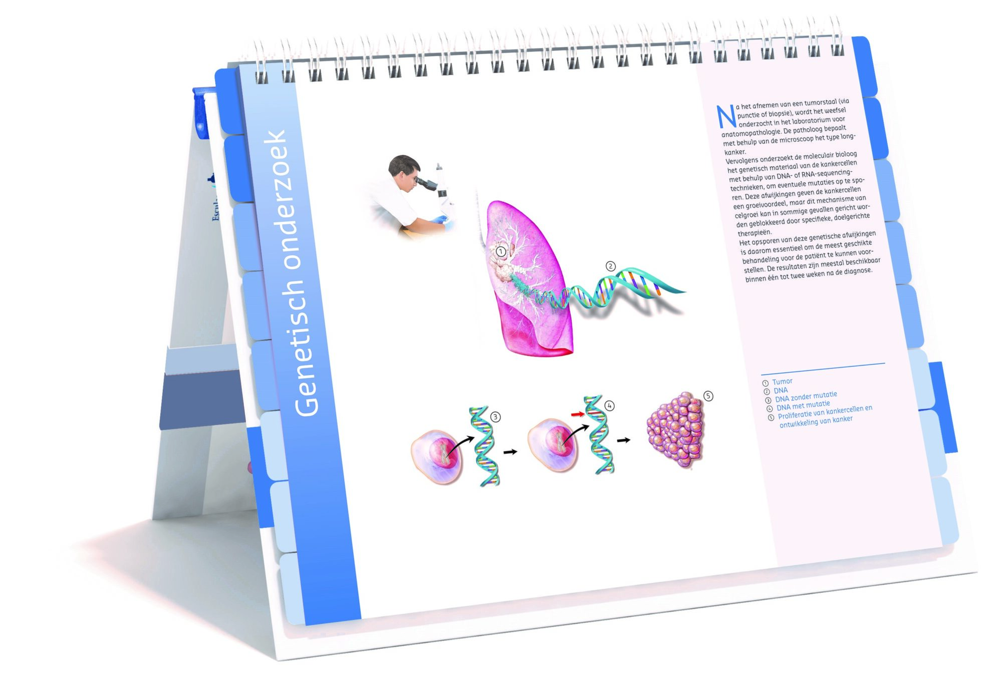 Lung Cancer Care Atlas 3D Dutch